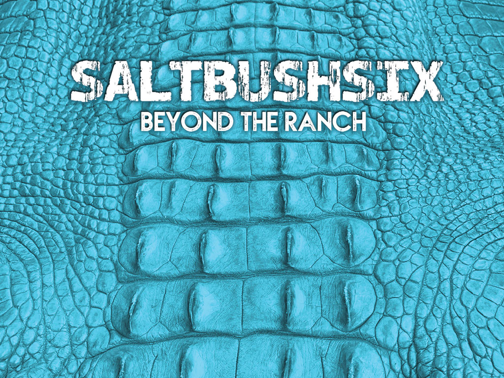 SaltBushSix Album